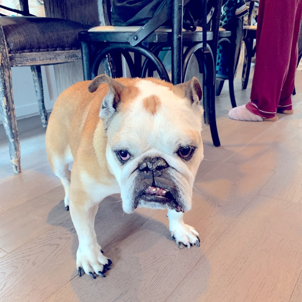 Meet your Posher, Britt